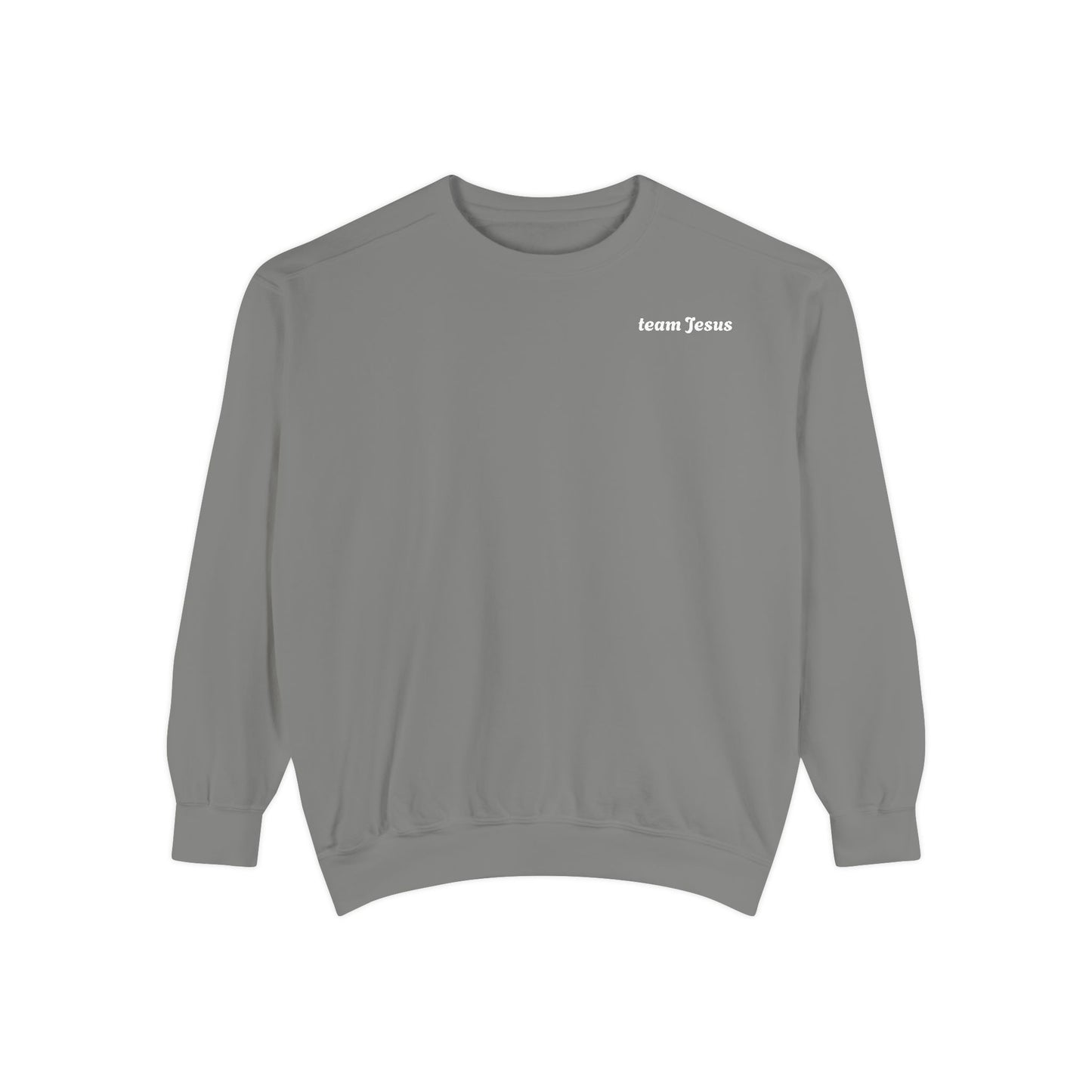Sweatshirt My Influencer is Jesus Christian Religious Unisex