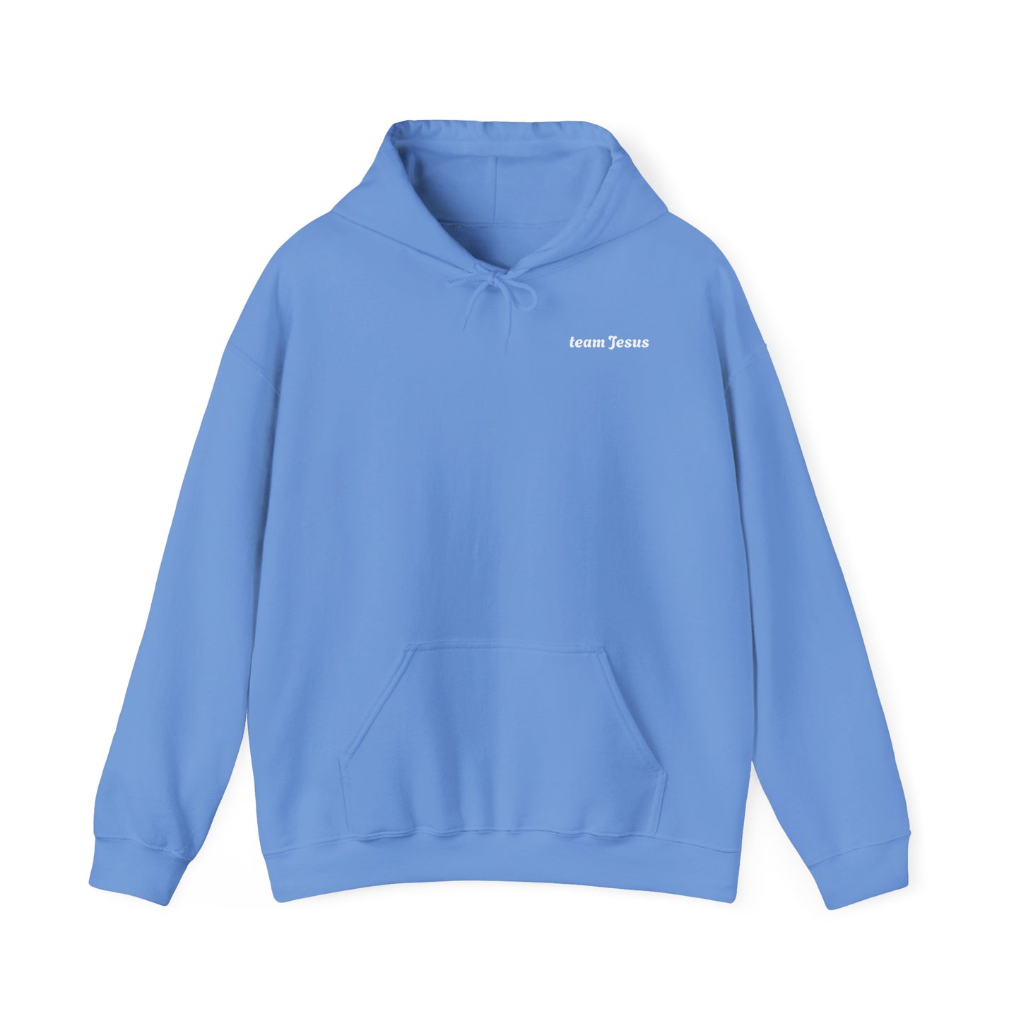 Hooded Sweatshirt - Ask God Design