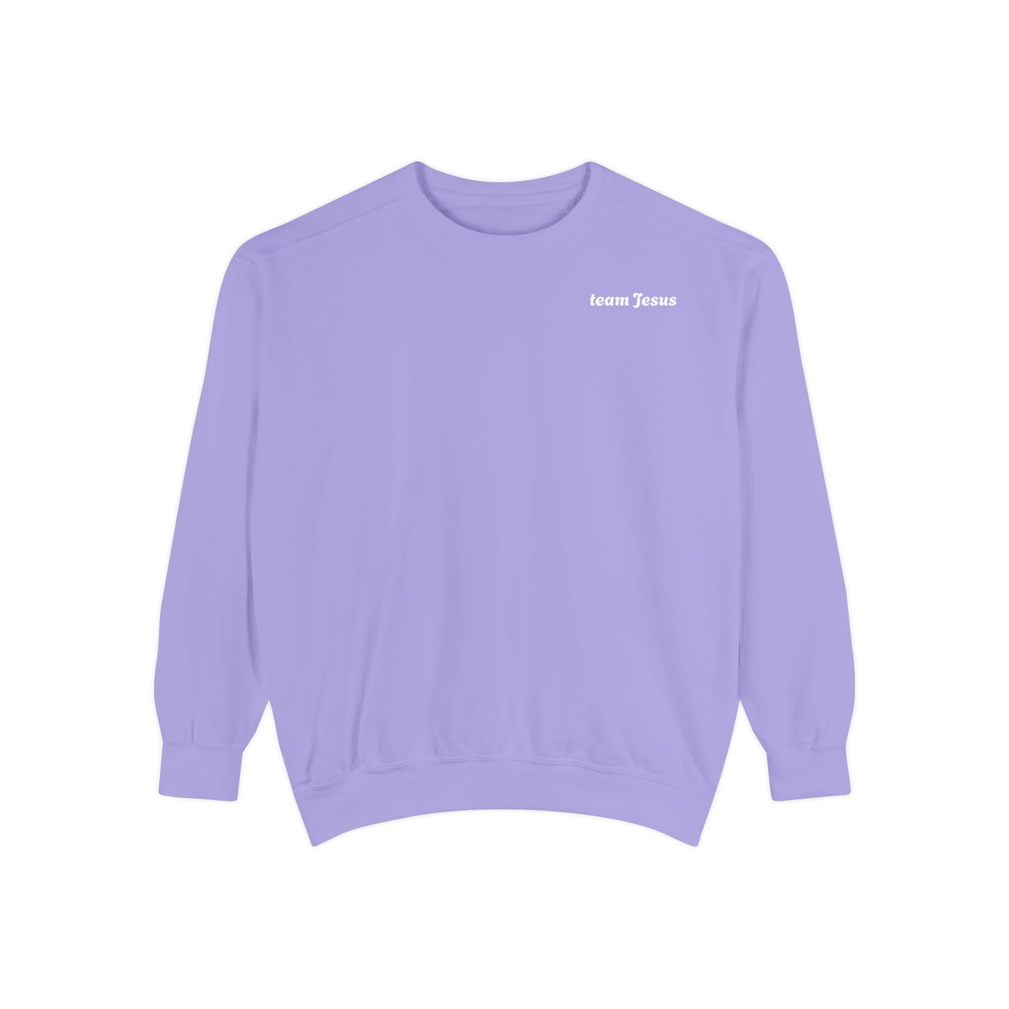 Sweatshirt My Influencer is Jesus Christian Religious Unisex