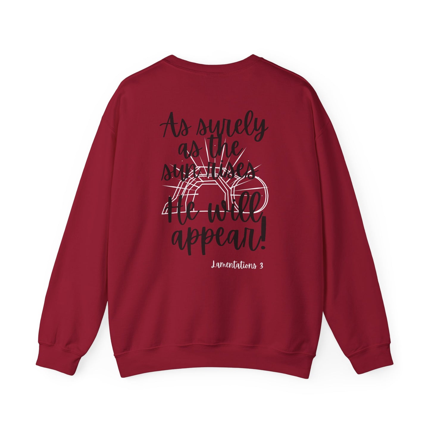 Religious Sweatshirt - Jesus will appear design