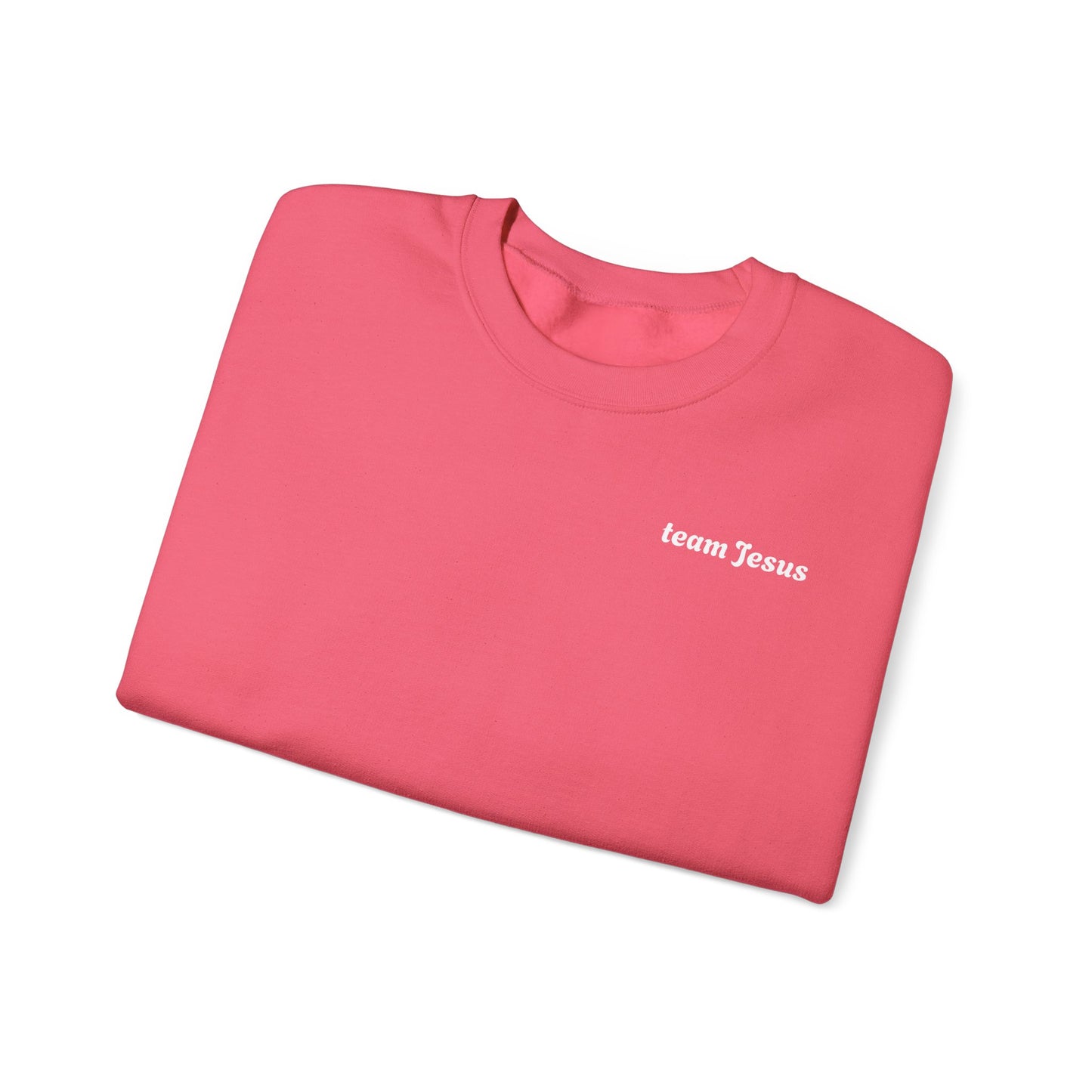Religious Sweatshirt - Jesus will appear design
