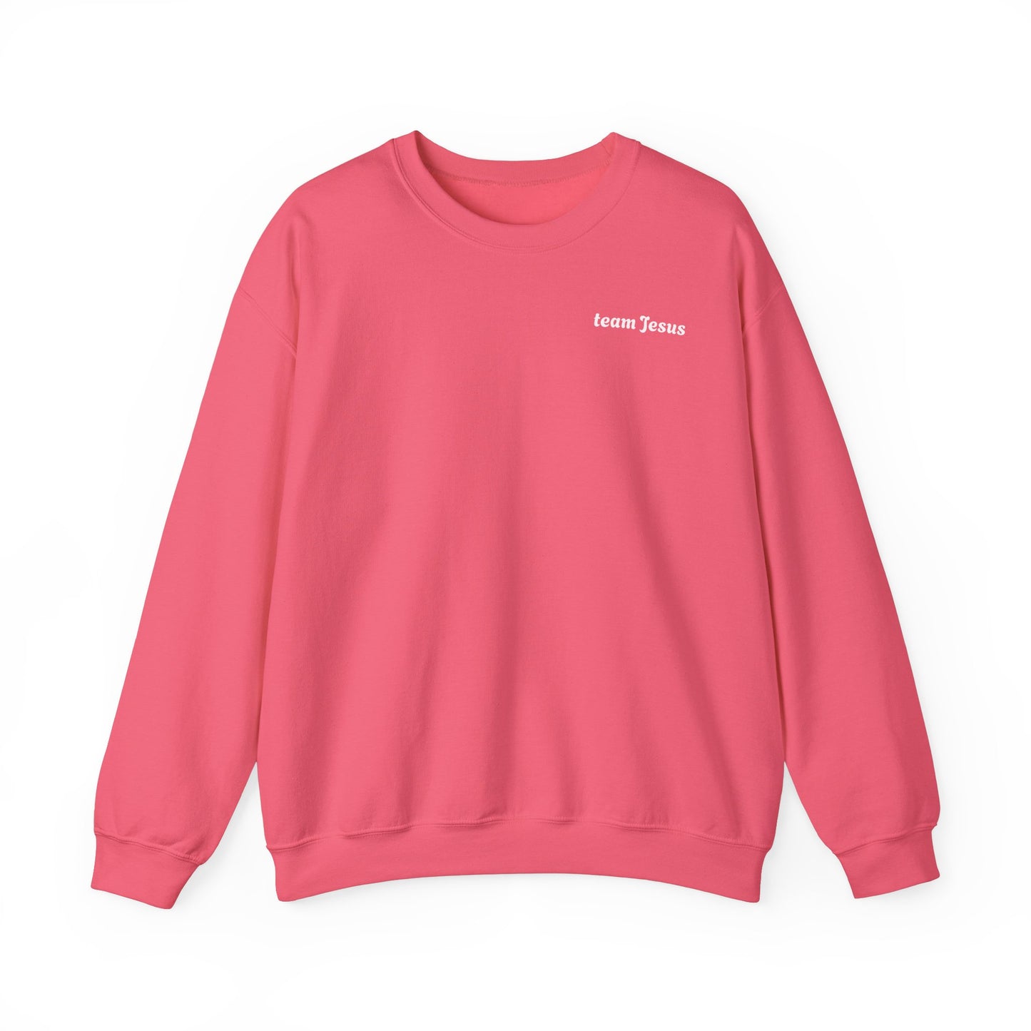 Religious Sweatshirt - Jesus will appear design