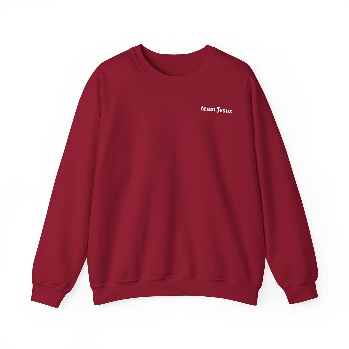 Religious Sweatshirt - Jesus will appear design