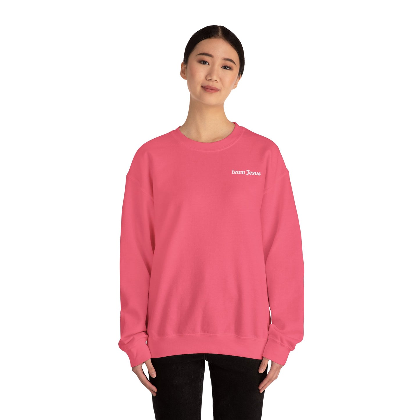 Religious Sweatshirt - Jesus will appear design