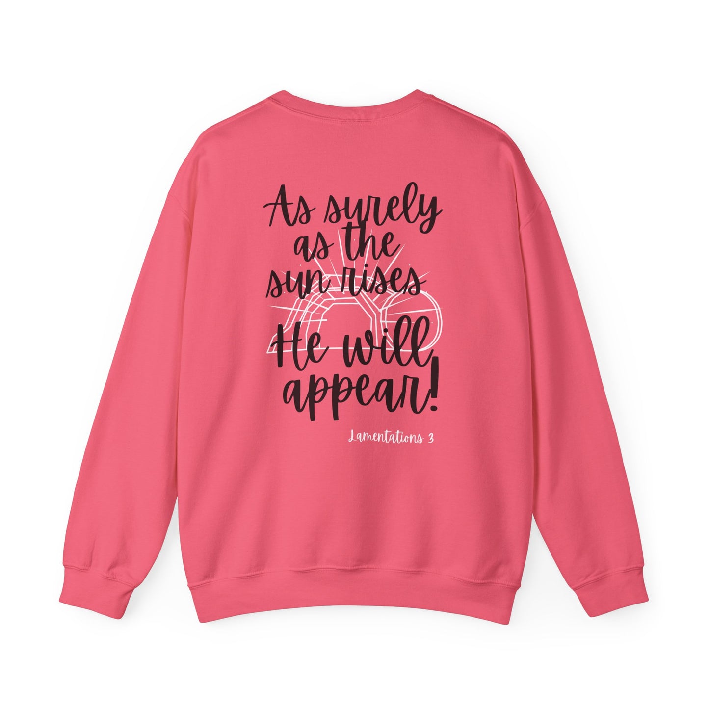 Religious Sweatshirt - Jesus will appear design